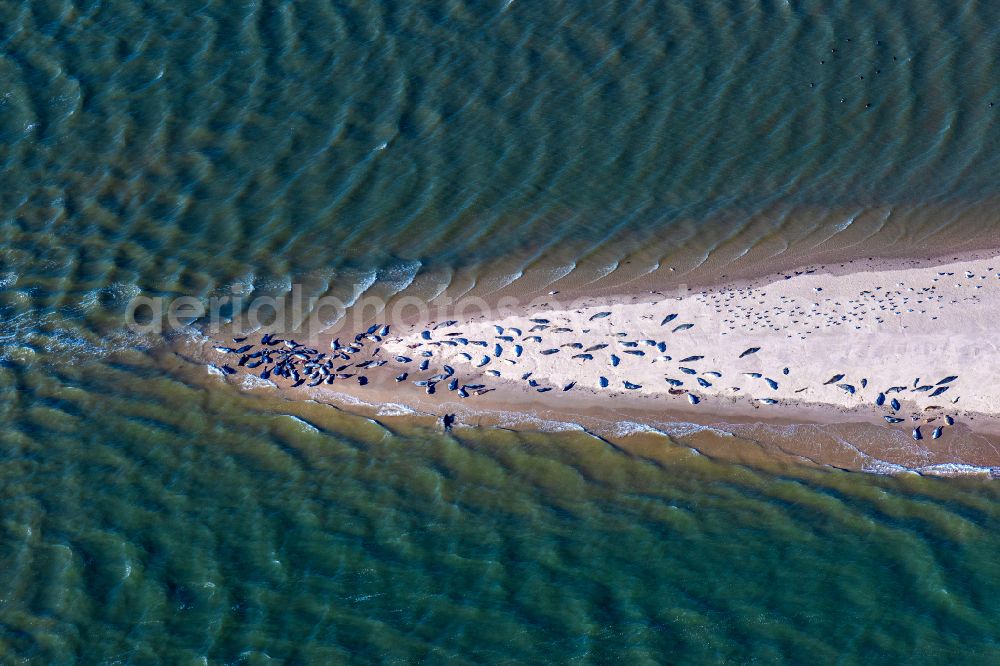 Norderney from above - Coastal landscape and sandbar - structures Seehundbank in Norderney in the state Lower Saxony, Germany