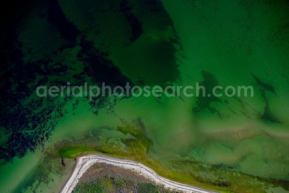 Insel Hiddensee from the bird's eye view: Coastline on the sandy beach of Insel Hiddensee in the state Mecklenburg - Western Pomerania, Germany