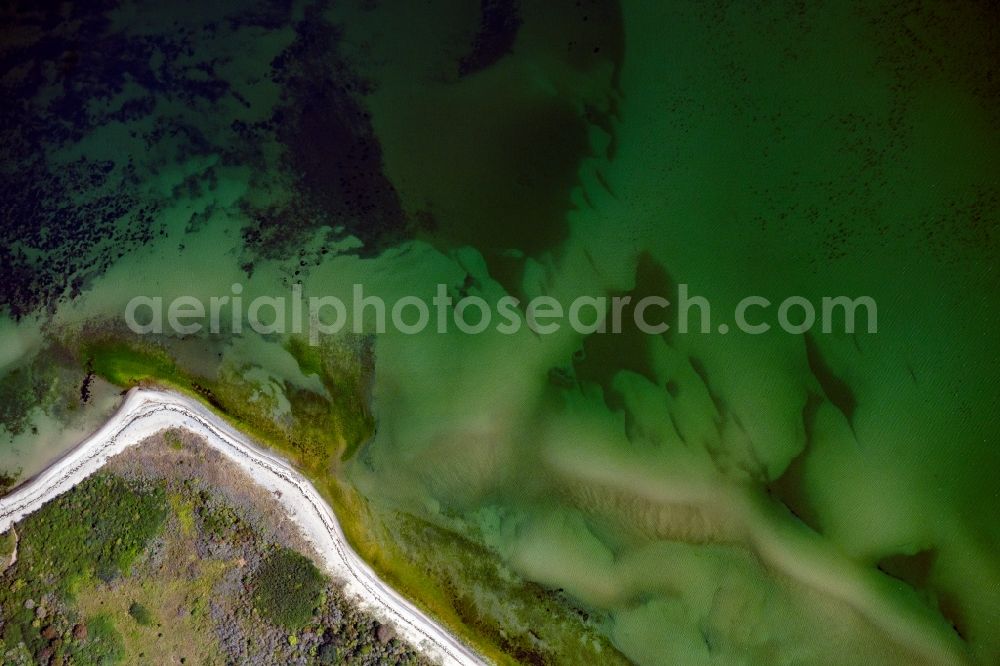 Aerial image Insel Hiddensee - Coastline on the sandy beach of Insel Hiddensee in the state Mecklenburg - Western Pomerania, Germany