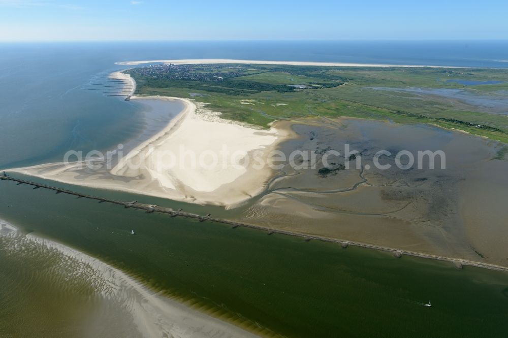 Borkum from above - Sandy beach on the coastline with green fields and forest area of North Sea island Borkum in the state Lower Saxony