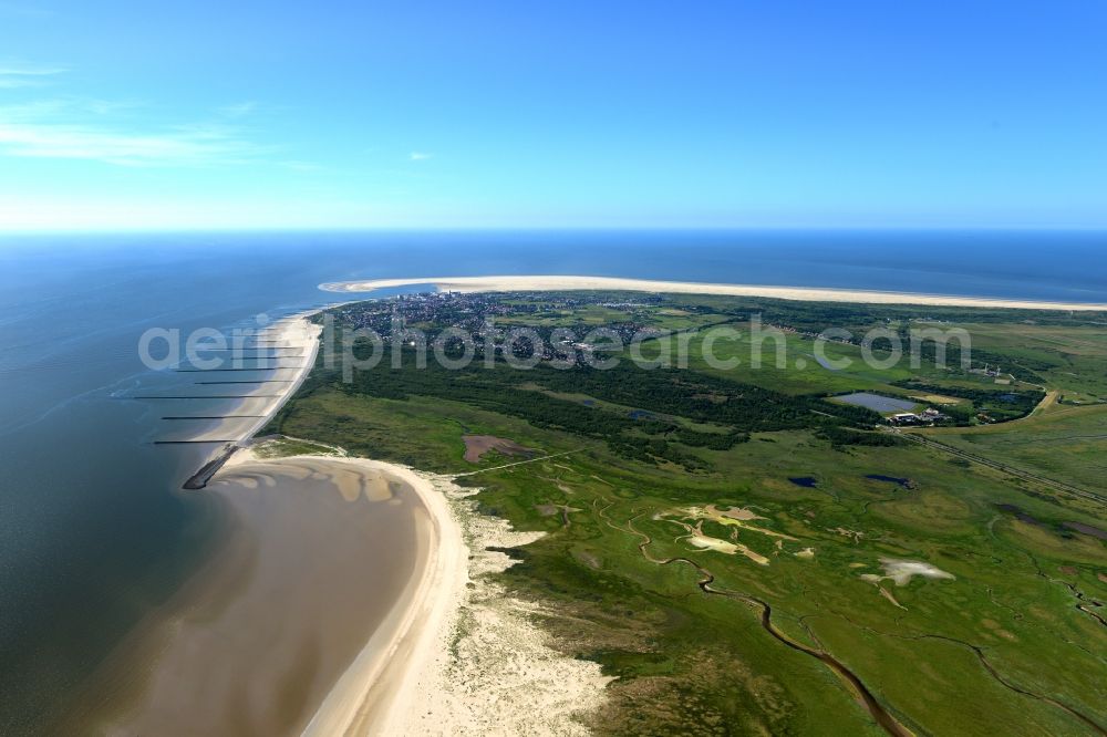 Borkum from the bird's eye view: Sandy beach on the coastline with green fields and forest area of North Sea island Borkum in the state Lower Saxony