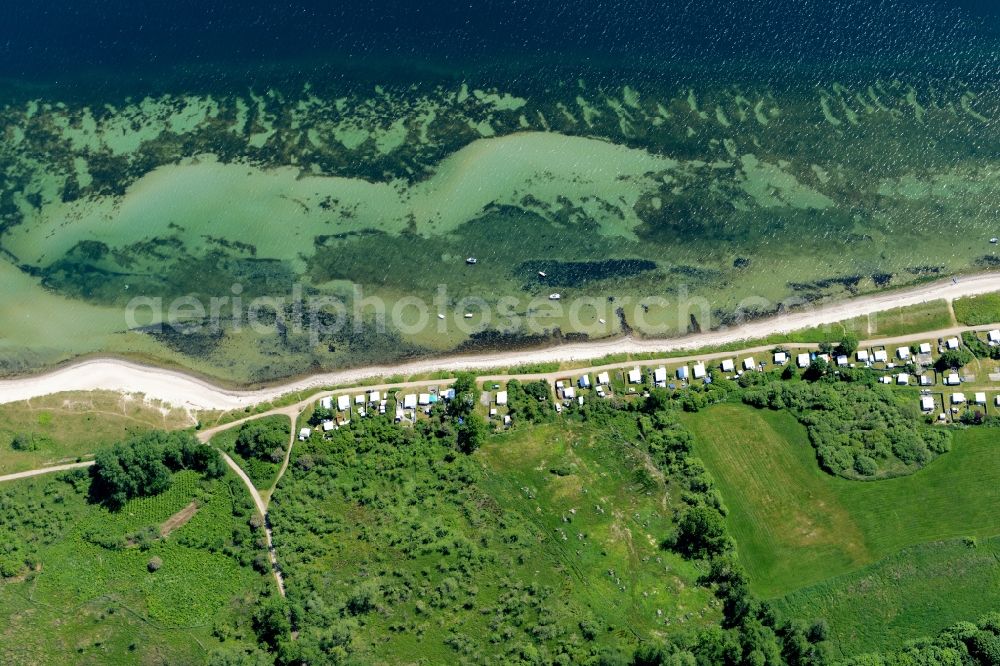 Barkelsby from above - Coastline on the sandy beach of the baltic sea and parts of the camping area Hemmelmark in Barkelsby in the state Schleswig-Holstein