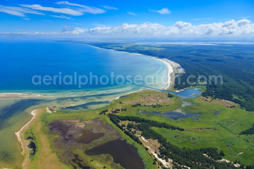 Born am Darß from the bird's eye view: Coastline on the sandy beach of Baltic Sea in Born am Darss in the state Mecklenburg - Western Pomerania, Germany