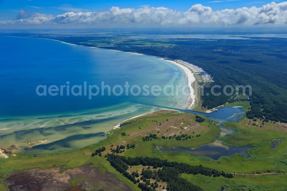 Aerial photograph Born am Darß - Coastline on the sandy beach of Baltic Sea in Born am Darss in the state Mecklenburg - Western Pomerania, Germany