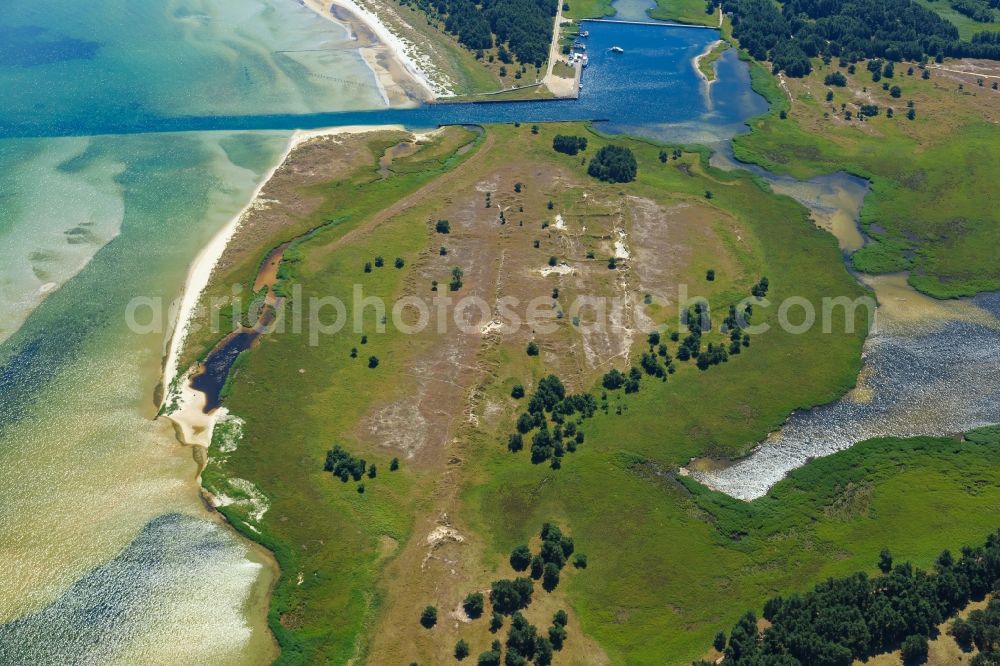 Born am Darß from above - Coastline on the sandy beach of Baltic Sea in Born am Darss in the state Mecklenburg - Western Pomerania, Germany