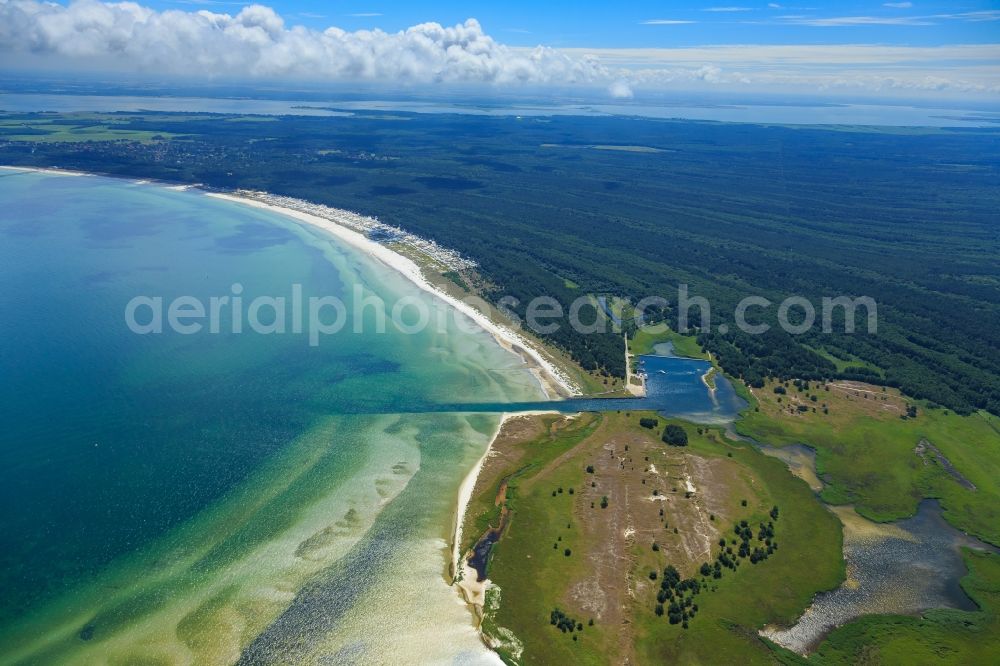 Born am Darß from the bird's eye view: Coastline on the sandy beach of Baltic Sea in Born am Darss in the state Mecklenburg - Western Pomerania, Germany