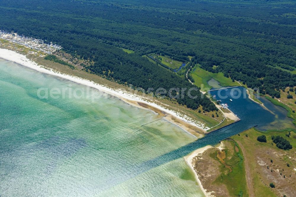 Aerial image Born am Darß - Coastline on the sandy beach of Baltic Sea in Born am Darss in the state Mecklenburg - Western Pomerania, Germany