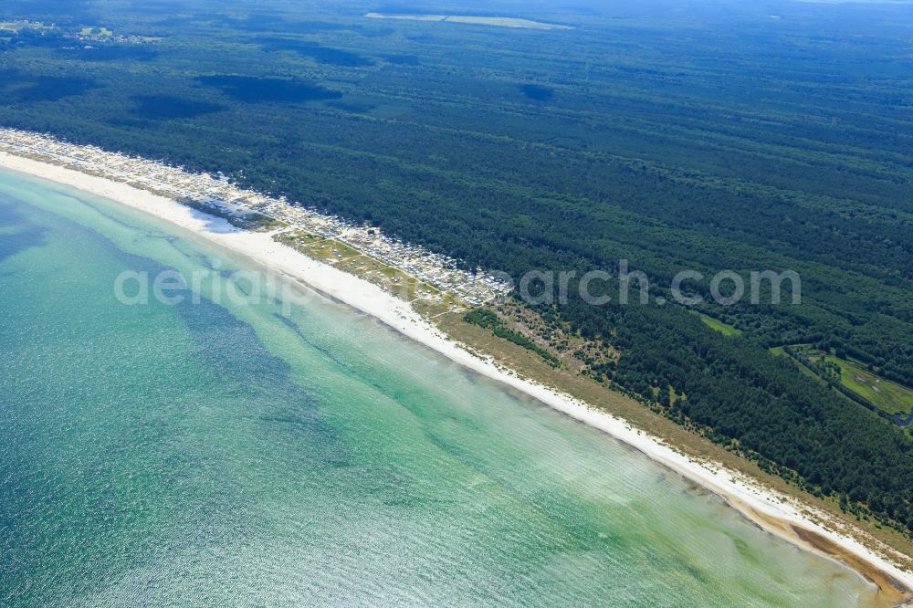 Aerial photograph Born am Darß - Coastline on the sandy beach of Baltic Sea in Born am Darss in the state Mecklenburg - Western Pomerania, Germany