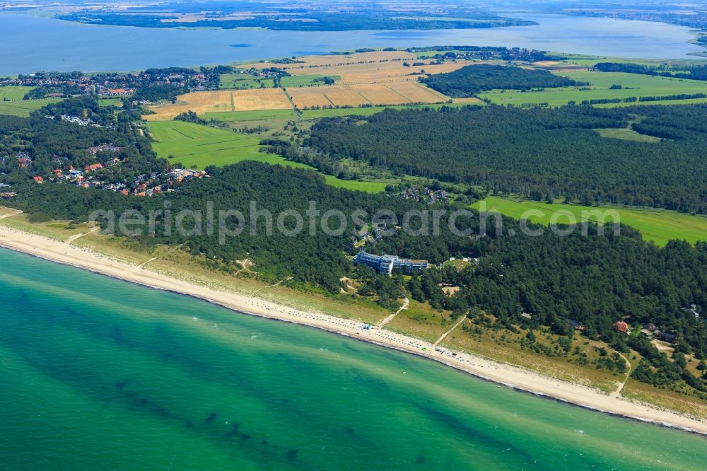 Aerial image Born am Darß - Coastline on the sandy beach of Baltic Sea in Born am Darss in the state Mecklenburg - Western Pomerania, Germany