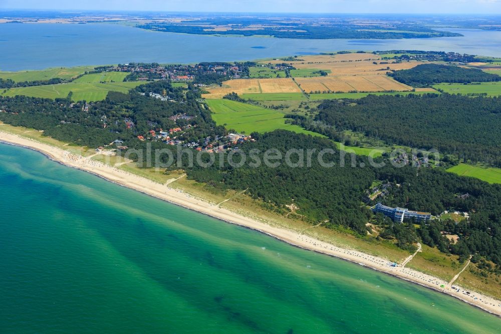 Aerial photograph Born am Darß - Coastline on the sandy beach of Baltic Sea in Born am Darss in the state Mecklenburg - Western Pomerania, Germany