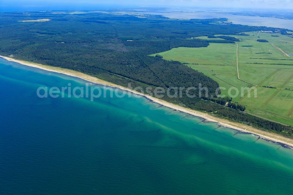 Born am Darß from the bird's eye view: Coastline on the sandy beach of Baltic Sea in Born am Darss in the state Mecklenburg - Western Pomerania, Germany