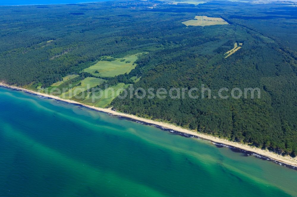 Aerial image Born am Darß - Coastline on the sandy beach of Baltic Sea in Born am Darss in the state Mecklenburg - Western Pomerania, Germany