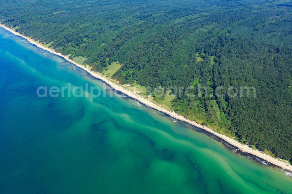 Born am Darß from above - Coastline on the sandy beach of Baltic Sea in Born am Darss in the state Mecklenburg - Western Pomerania, Germany