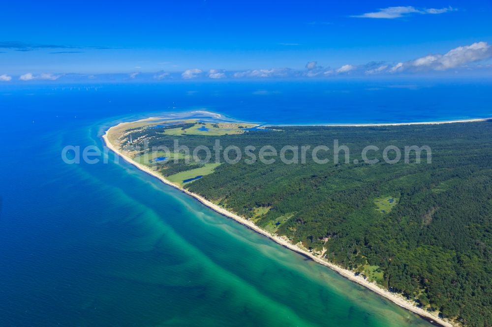 Aerial photograph Born am Darß - Coastline on the sandy beach of Baltic Sea in Born am Darss in the state Mecklenburg - Western Pomerania, Germany