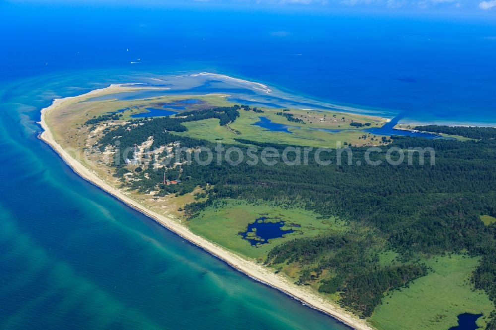 Born am Darß from the bird's eye view: Coastline on the sandy beach of Baltic Sea in Born am Darss in the state Mecklenburg - Western Pomerania, Germany