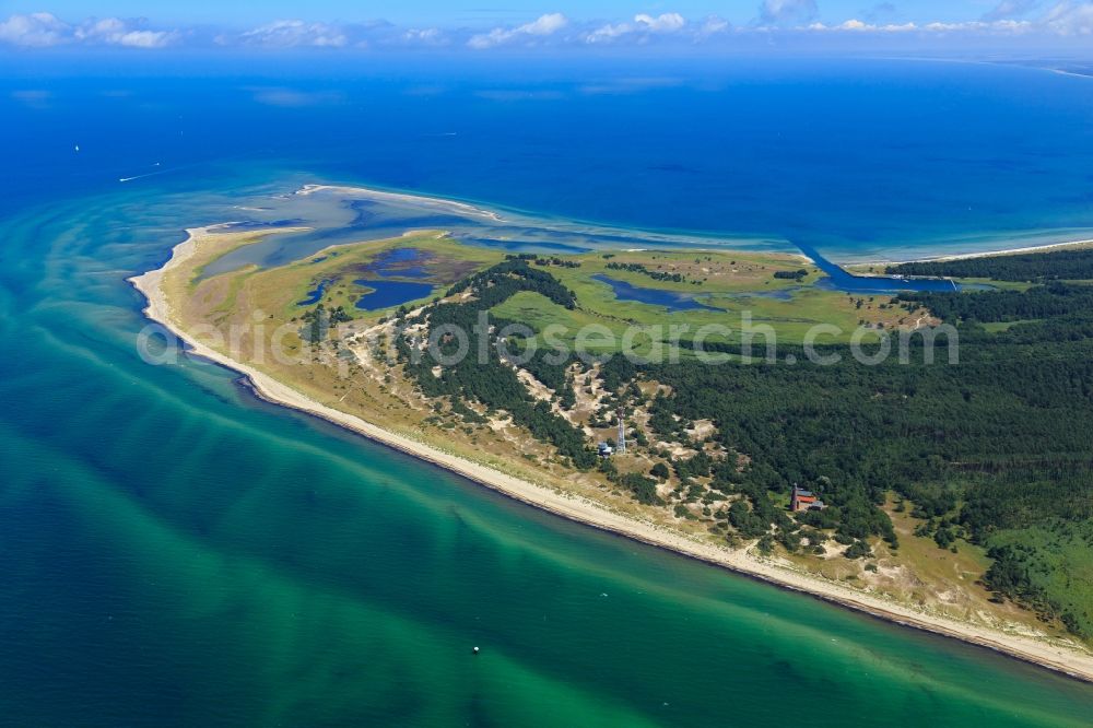 Aerial image Born am Darß - Coastline on the sandy beach of Baltic Sea in Born am Darss in the state Mecklenburg - Western Pomerania, Germany