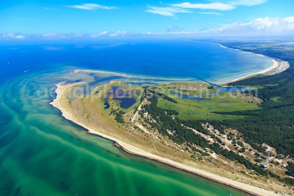 Born am Darß from above - Coastline on the sandy beach of Baltic Sea in Born am Darss in the state Mecklenburg - Western Pomerania, Germany