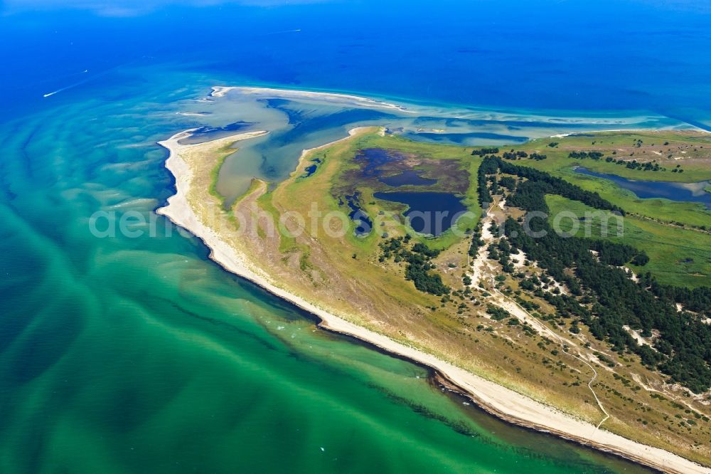 Born am Darß from the bird's eye view: Coastline on the sandy beach of Baltic Sea in Born am Darss in the state Mecklenburg - Western Pomerania, Germany