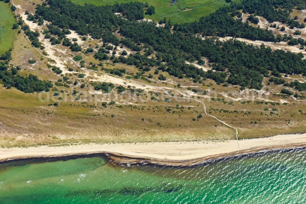 Aerial image Born am Darß - Coastline on the sandy beach of Baltic Sea in Born am Darss in the state Mecklenburg - Western Pomerania, Germany