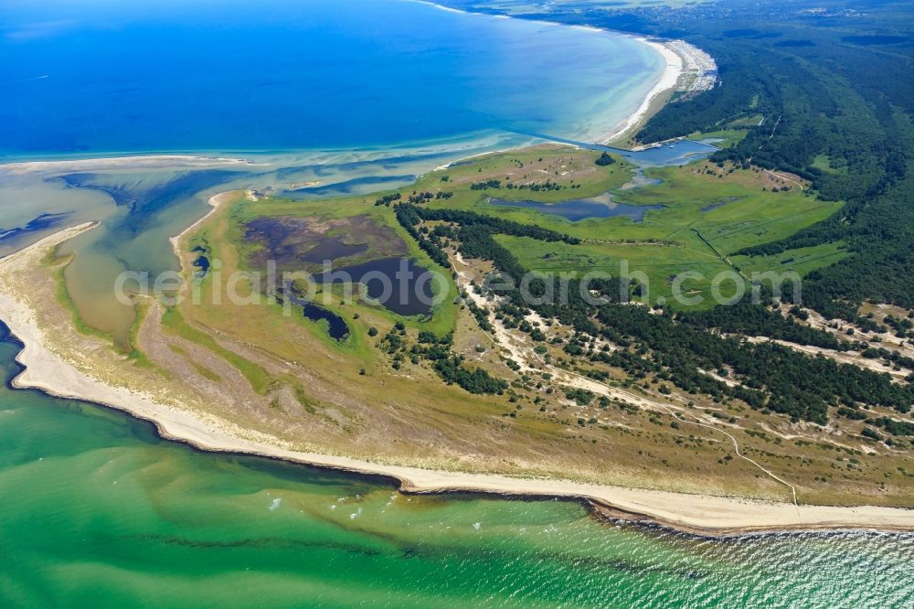 Aerial photograph Born am Darß - Coastline on the sandy beach of Baltic Sea in Born am Darss in the state Mecklenburg - Western Pomerania, Germany