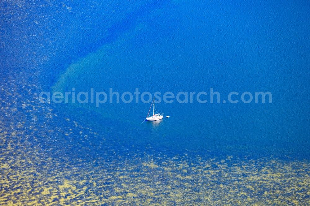 Aerial image Insel Hiddensee - Coastline on the sandy beach of Baltic Sea on island Hiddensee in the state Mecklenburg - Western Pomerania, Germany