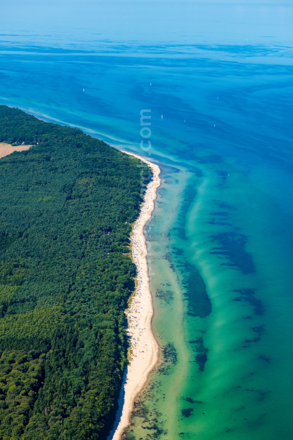 Aerial image Nonnewitz - Coastline on the sandy beach of Baltic Sea in Nonnewitz on the island of Ruegen in the state Mecklenburg - Western Pomerania, Germany