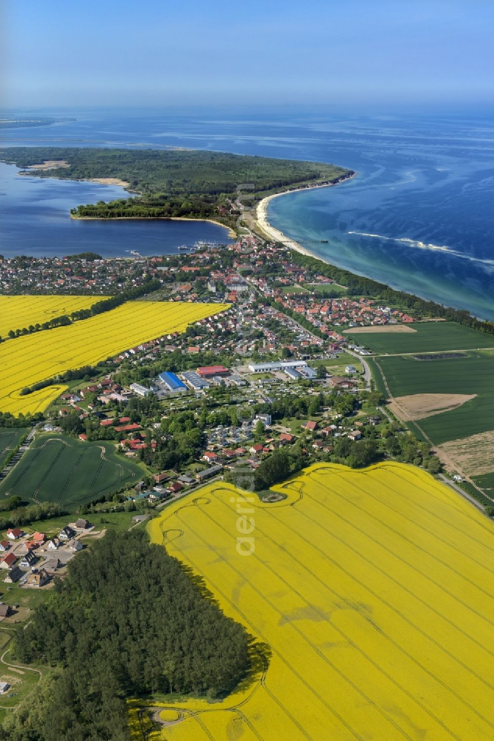 Rerik from the bird's eye view: Coastline on the sandy beach of Baltic Sea in Rerik in the state Mecklenburg - Western Pomerania, Germany