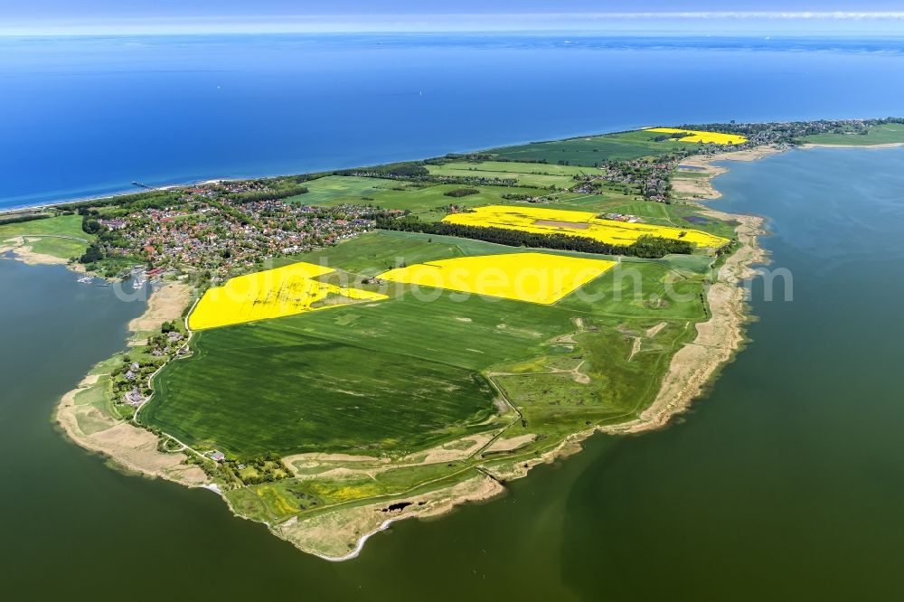 Aerial image Wustrow - Coastline on the sandy beach of Baltic Sea in Wustrow in the state Mecklenburg - Western Pomerania, Germany