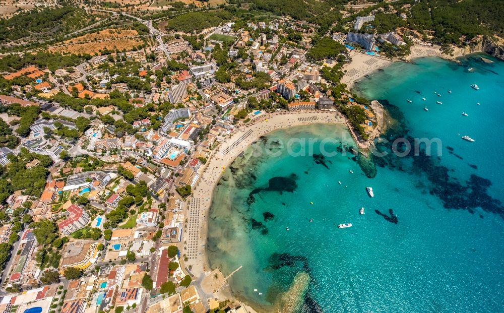 Aerial image Peguera - Coastline on the sandy beach of Platja Gran de Tora in Peguera in Balearische Insel Mallorca, Spain