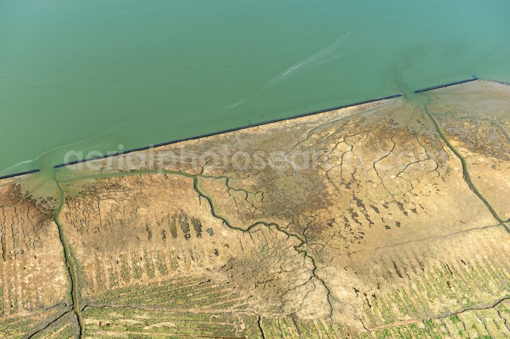 Aerial photograph Cuxhaven - Coastline, sandy beach and salt marshes on the coast of the North Sea in the Duhnen part of Cuxhaven in the state of Lower Saxony