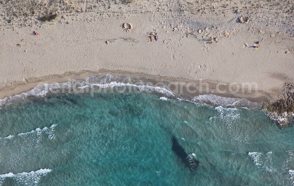 Aerial image Santa Margalida - Coastline on the sandy beach of Son Serra de arina in Santa Margalida in Bay of Alcudia in Mallorca in Balearic Islands, Spain