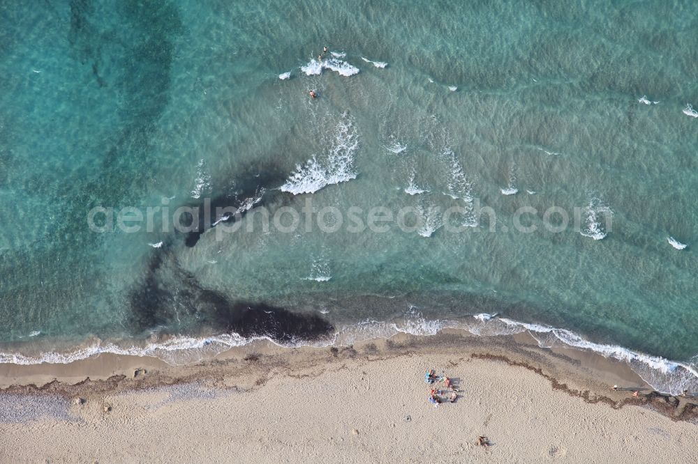 Aerial photograph Santa Margalida - Coastline on the sandy beach of Son Serra de arina in Santa Margalida in Bay of Alcudia in Mallorca in Balearic Islands, Spain