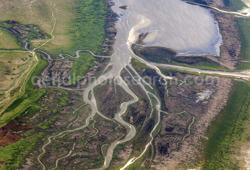 Aerial image Sankt Peter-Ording - Coasts scenery between dyke and sandy beach in the district Saint Peter's bath in Saint Peter-Ording in the federal state Schleswig-Holstein