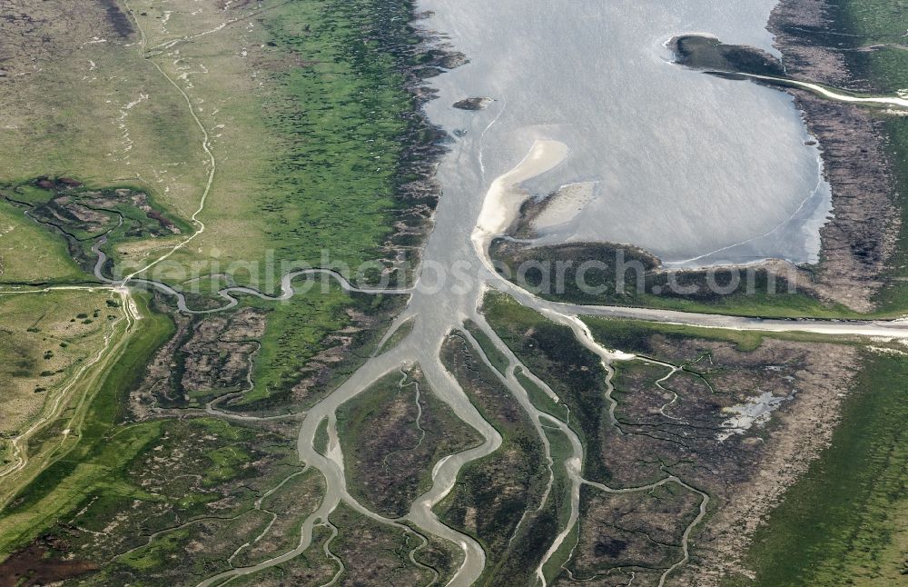 Sankt Peter-Ording from above - Coasts scenery between dyke and sandy beach in the district Saint Peter's bath in Saint Peter-Ording in the federal state Schleswig-Holstein