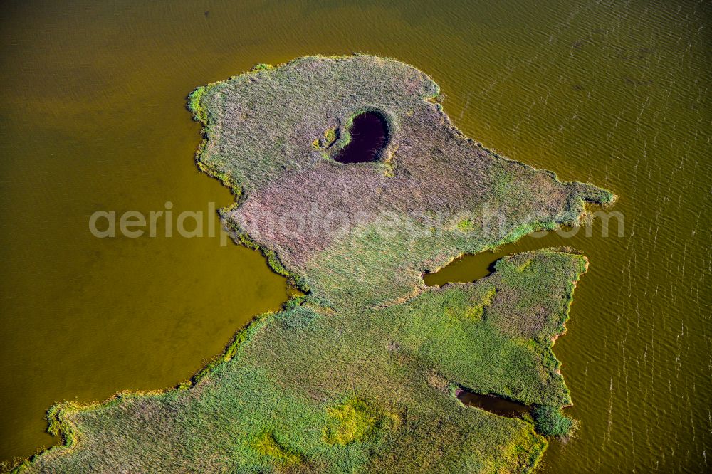 Born am Darß from the bird's eye view: Coastal area Borner Buelten - Island in Born am Darss at the baltic coast in the state Mecklenburg - Western Pomerania, Germany