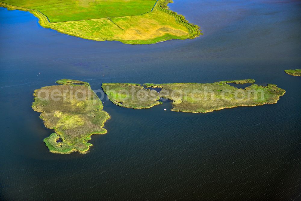 Aerial image Born am Darß - Coastal area Borner Buelten - Islands in Born am Darss at the baltic coast in the state Mecklenburg - Western Pomerania, Germany