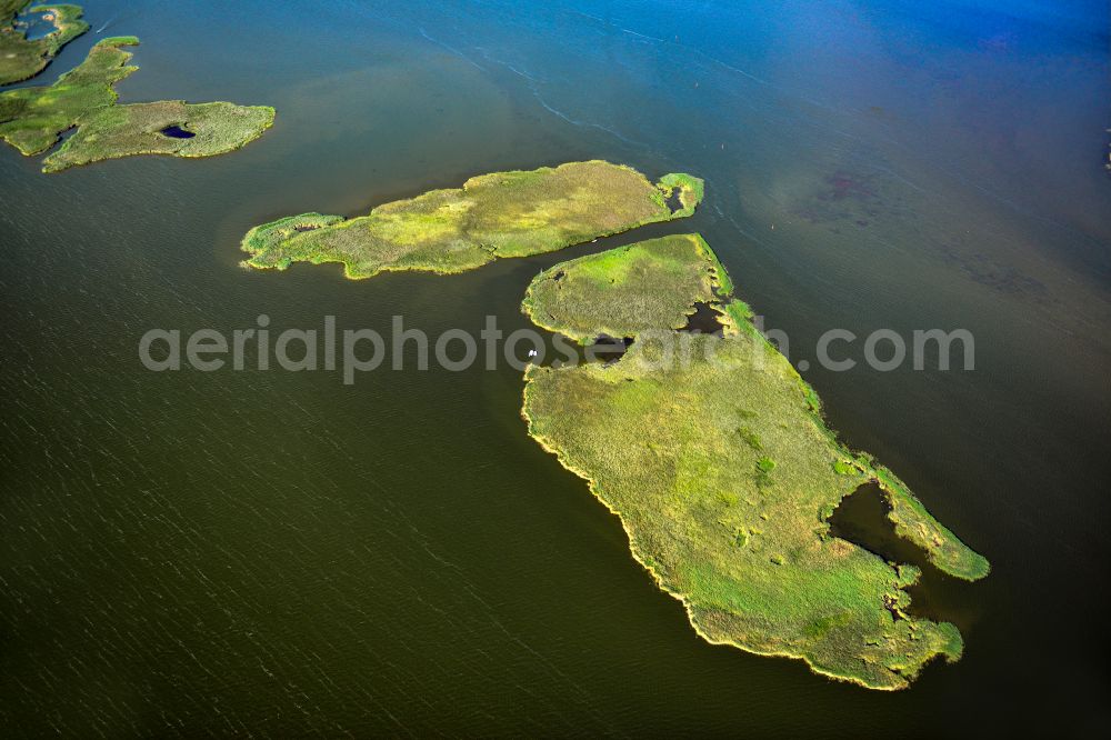 Born am Darß from above - Coastal area Borner Buelten - Islands in Born am Darss at the baltic coast in the state Mecklenburg - Western Pomerania, Germany