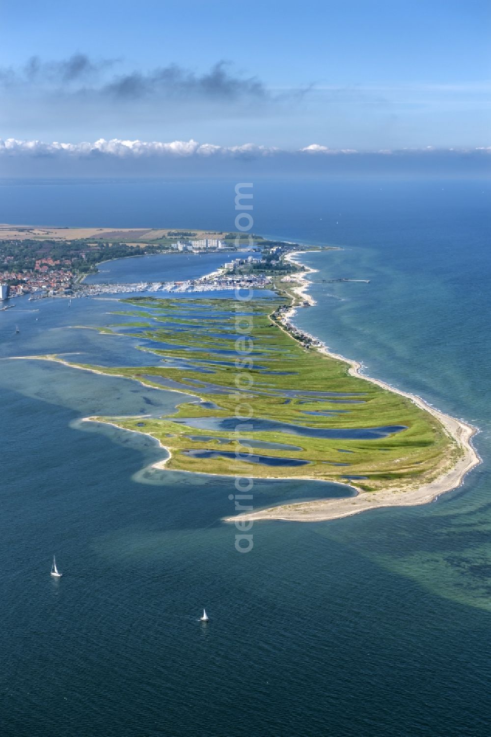 Heiligenhafen from the bird's eye view: Coastal area of the peninsula Graswarder-Heilgenhafen with a few single- family houses at the beach in Grossenbrode in the state Schleswig-Holstein