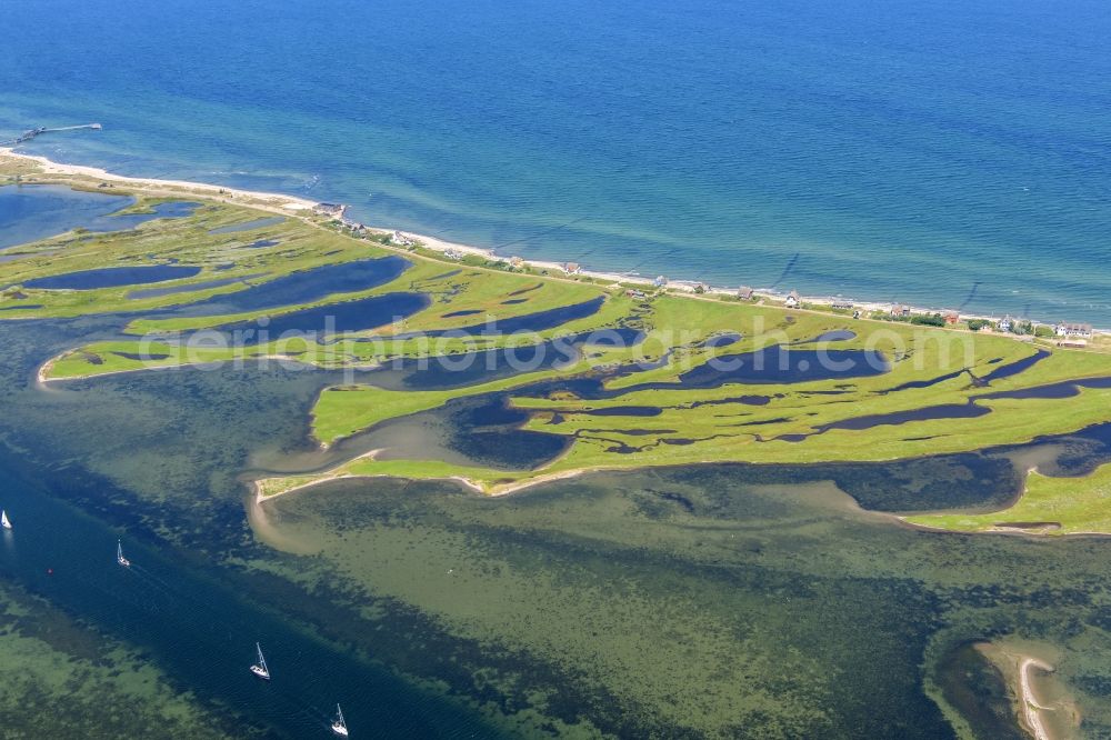 Heiligenhafen from the bird's eye view: Coastal area of the peninsula Graswarder-Heilgenhafen with a few single- family houses at the beach in Grossenbrode in the state Schleswig-Holstein