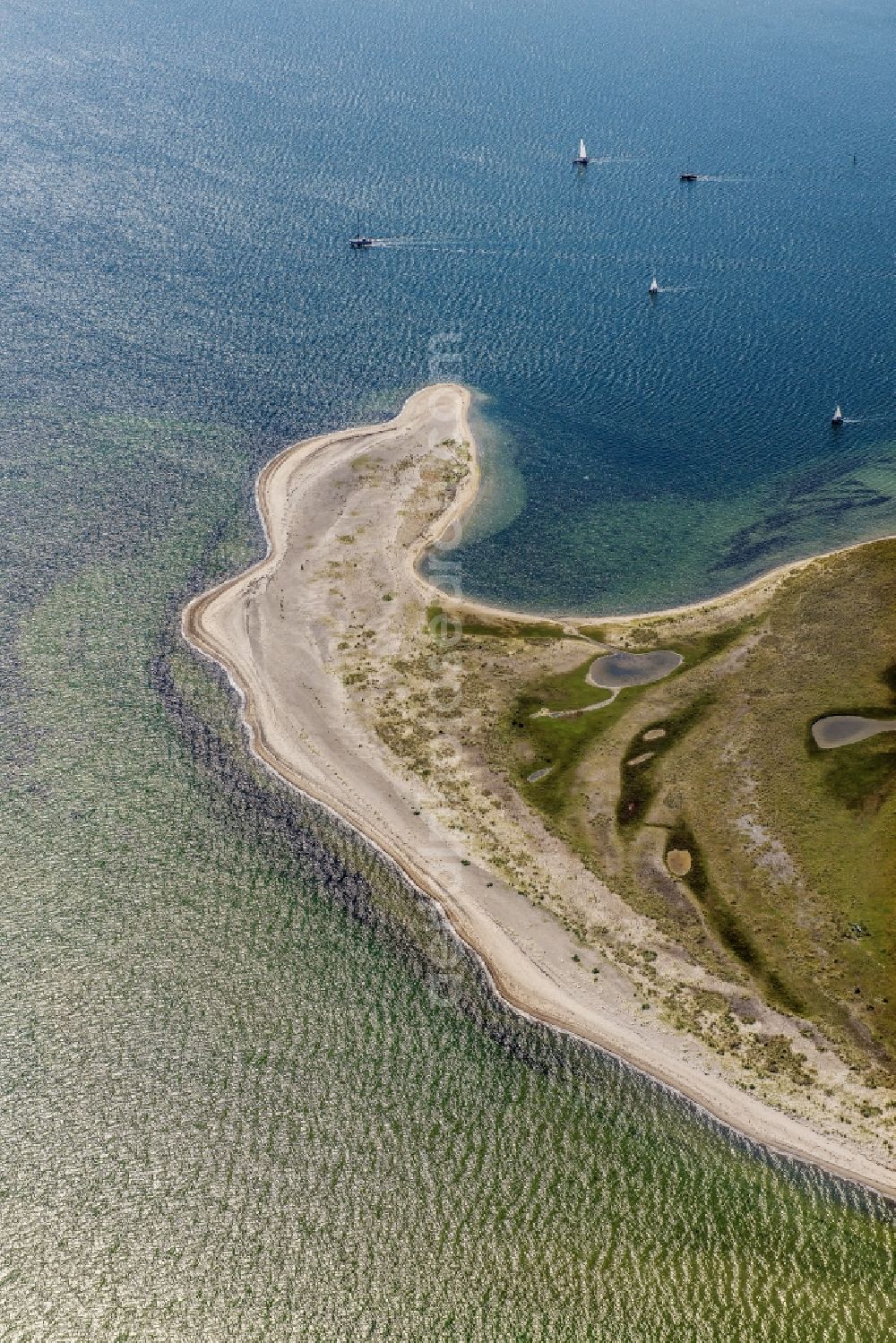 Aerial image Heiligenhafen - Coastal area of the peninsula Graswarder-Heilgenhafen with a few single- family houses at the beach in Grossenbrode in the state Schleswig-Holstein