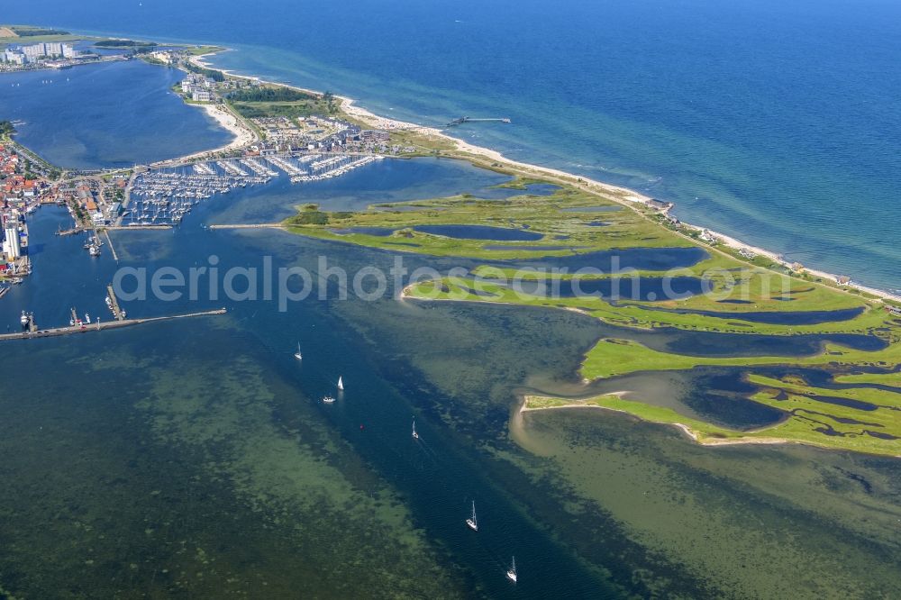 Aerial image Heiligenhafen - Coastal area of the peninsula Graswarder-Heilgenhafen with a few single- family houses at the beach in Grossenbrode in the state Schleswig-Holstein