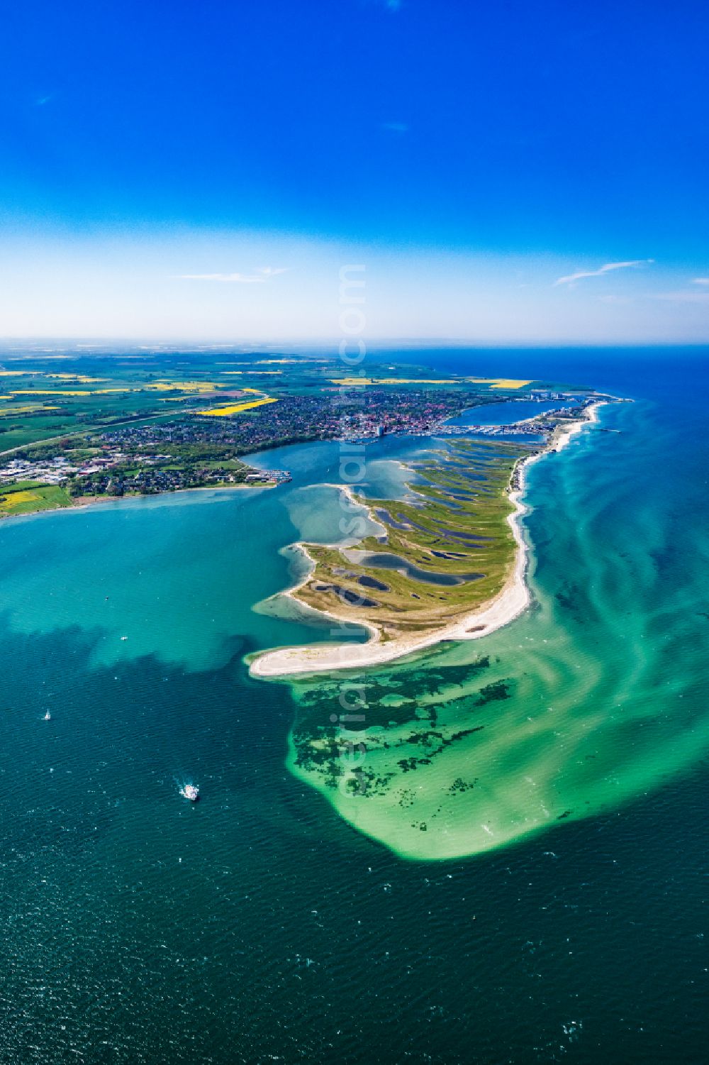 Aerial photograph Heiligenhafen - Coastal area of the peninsula Graswarder-Heilgenhafen with a few single- family houses at the beach in Grossenbrode in the state Schleswig-Holstein