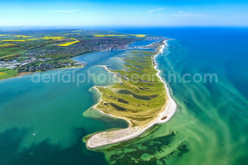 Heiligenhafen from the bird's eye view: Coastal area of the peninsula Graswarder-Heilgenhafen with a few single- family houses at the beach in Grossenbrode in the state Schleswig-Holstein