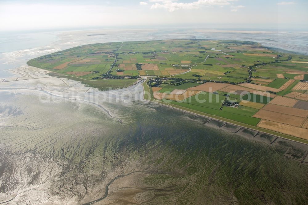 Pellworm from above - Coastal area of the Pellworm - Island in Pellworm in the state Schleswig-Holstein