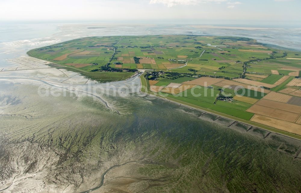 Pellworm from the bird's eye view: Coastal area of the Pellworm - Island in Pellworm in the state Schleswig-Holstein