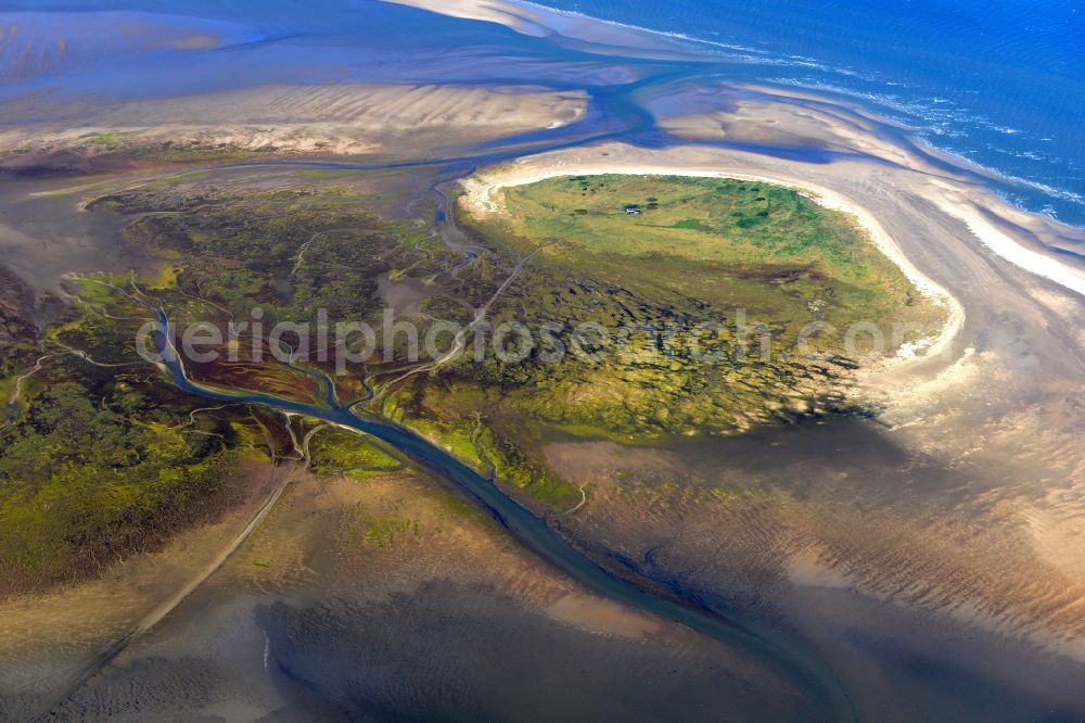 Aerial image Nigehörn - North Sea coastal region of the conservation reserve and bird sanctuary - island in Nigehoern in state of Hamburg