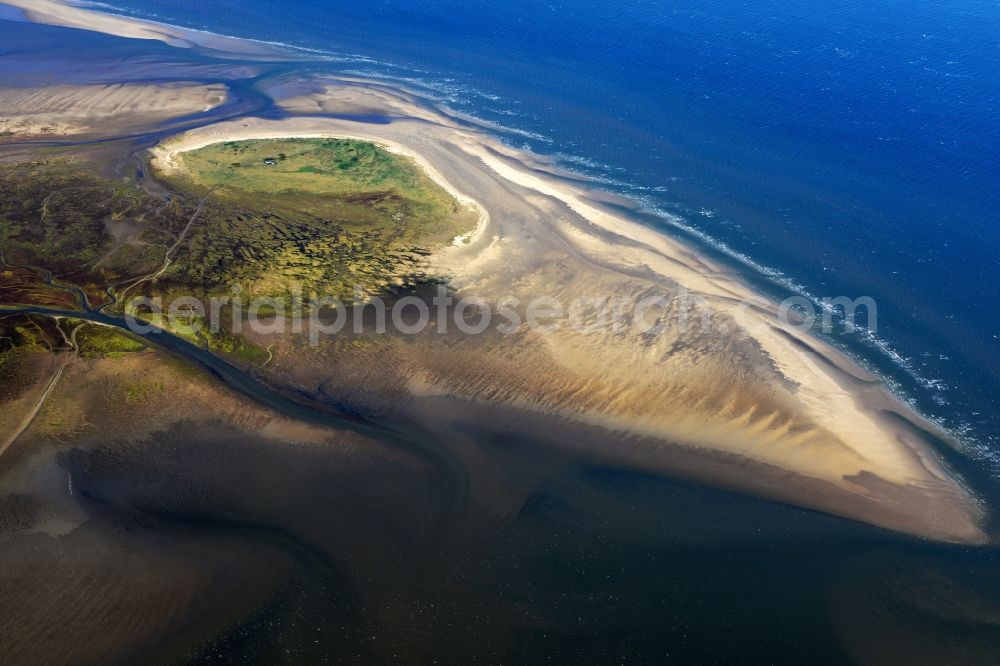 Aerial photograph Nigehörn - North Sea coastal region of the conservation reserve and bird sanctuary - island in Nigehoern in state of Hamburg