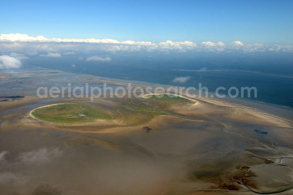 Nigehörn from above - North Sea coastal region of the conservation reserve and bird sanctuary - island in Nigehoern in state of Hamburg