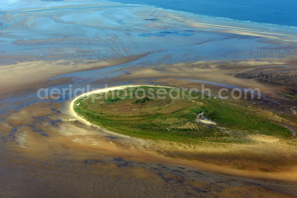 Aerial photograph Nigehörn - North Sea coastal region of the conservation reserve and bird sanctuary - island in Nigehoern in state of Hamburg