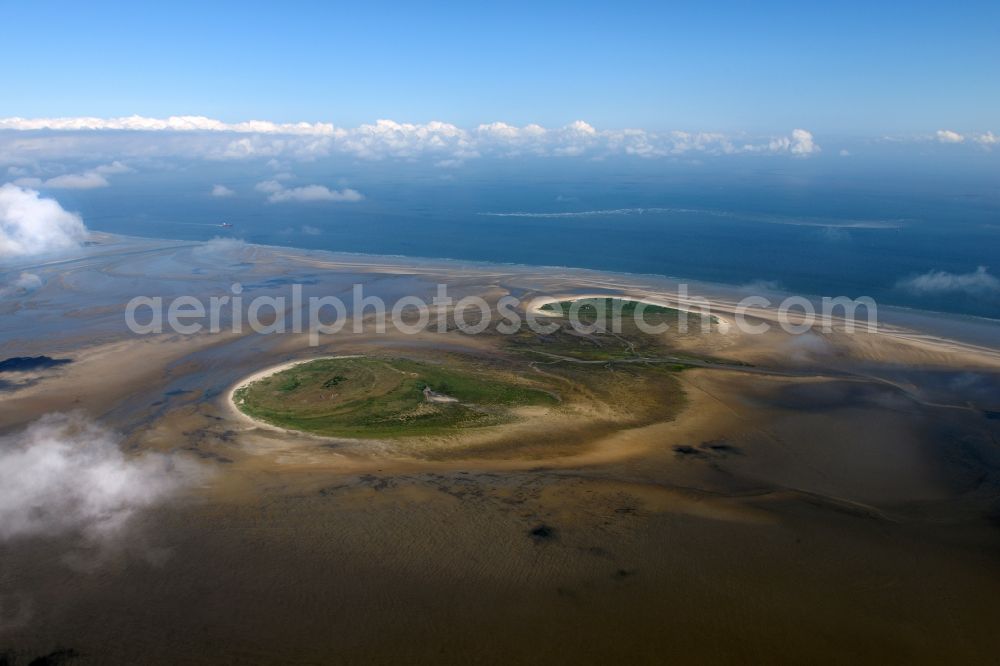 Nigehörn from the bird's eye view: North Sea coastal region of the conservation reserve and bird sanctuary - island in Nigehoern in state of Hamburg